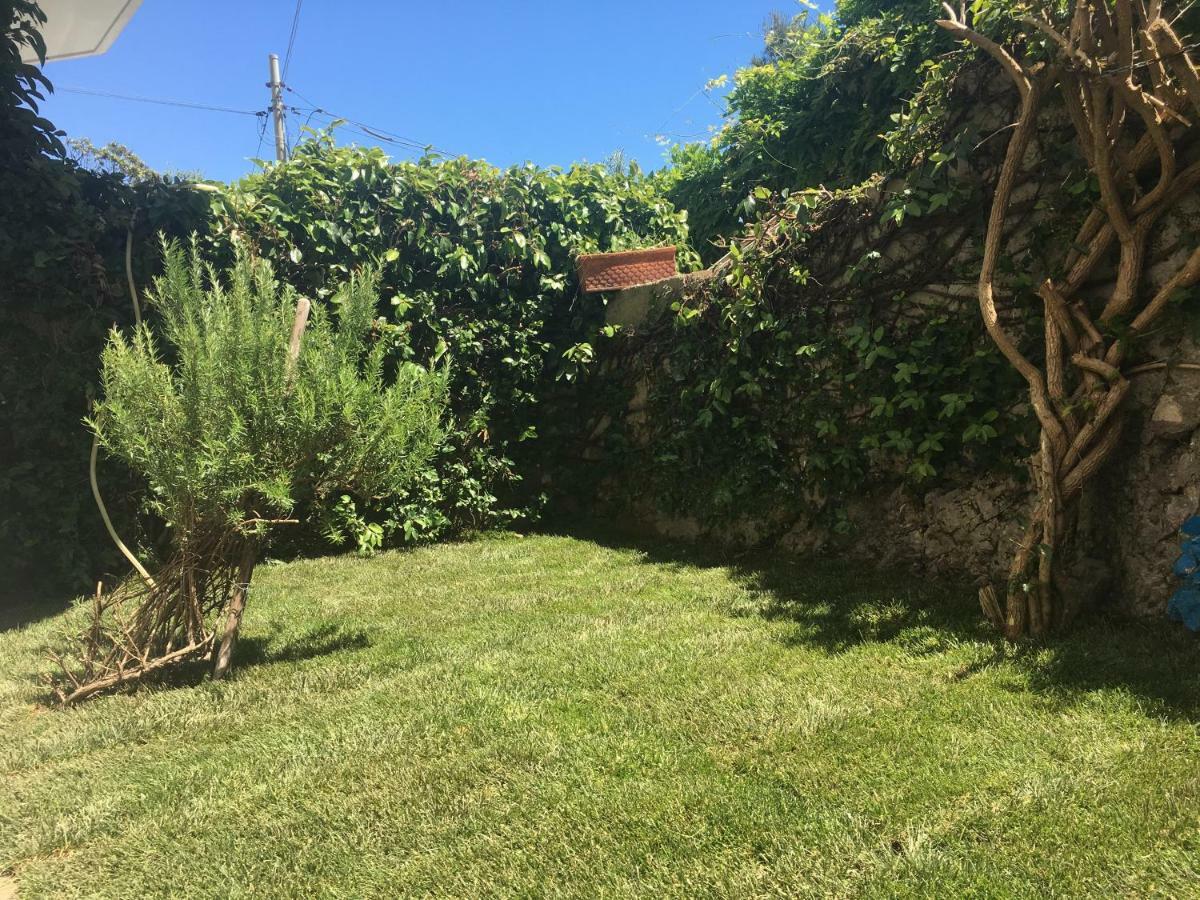 Ruderi Lägenhet Cetara Exteriör bild